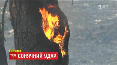 Сонячний удар: ТСН розповість, як врятуватися від масштабних пожеж