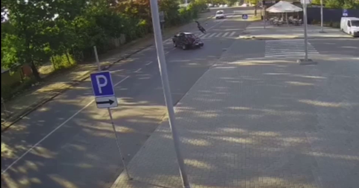 Скриншот видео