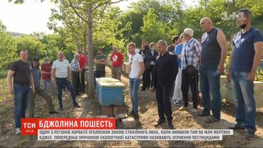 В Хорватии погибли 50 миллионов пчел