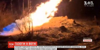 Во Львовской области неизвестные подожгли сухостой, огонь перекинулся на надземный газопровод