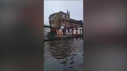 В затопленном Приморье охранники колонии передвигаются повозкой, запряженной заключенными