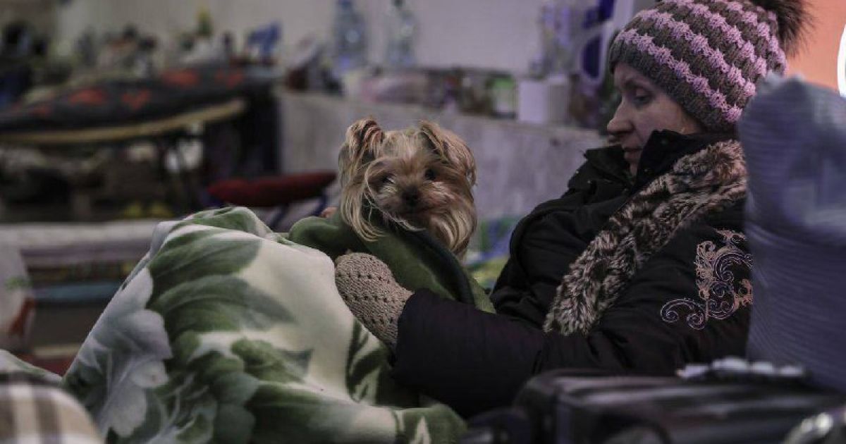 Як кияни ночують у метро, ховаючись від артобстрілів та бомбардувань