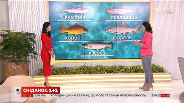 Говоримо про корисні властивості риби і правила її споживання з дієтологом Галиною Незговорою