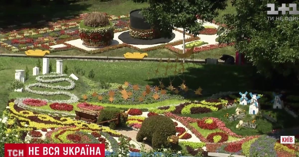 Посетители "цветочной карты" Украины не разглядели на ней Крыма и Донбасса