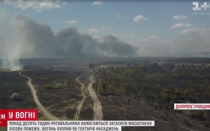 У центрі України розгорілася масштабна лісова пожежа