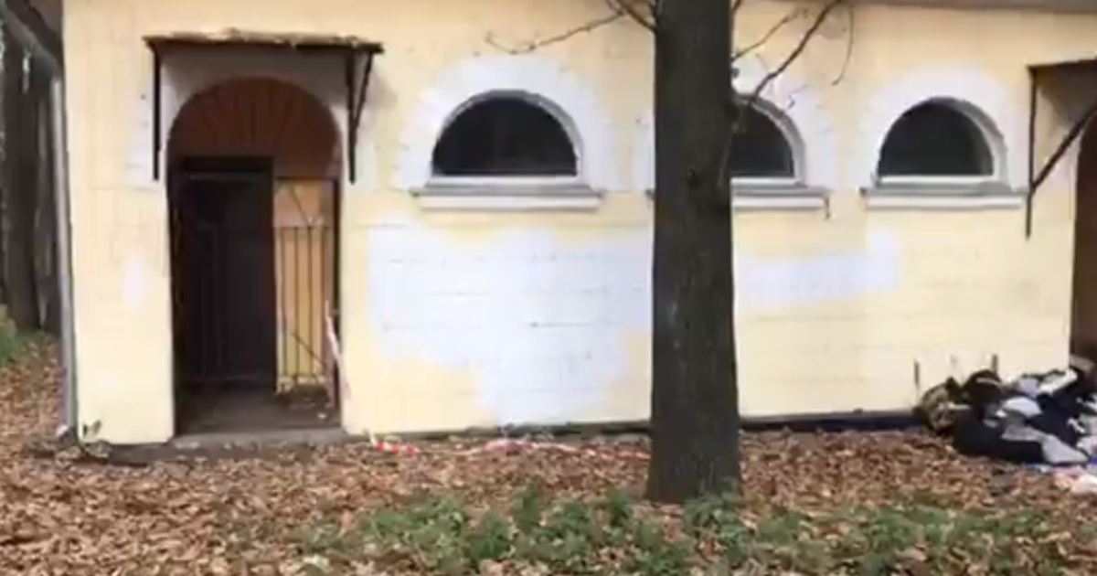 скріншот