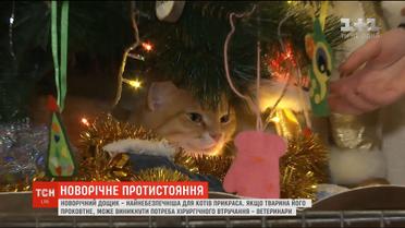 Новогоднее противостояние: как спасти елку от кота