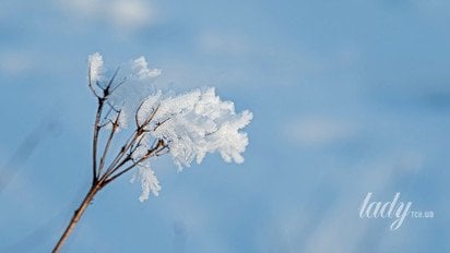 Зимовий пейзаж