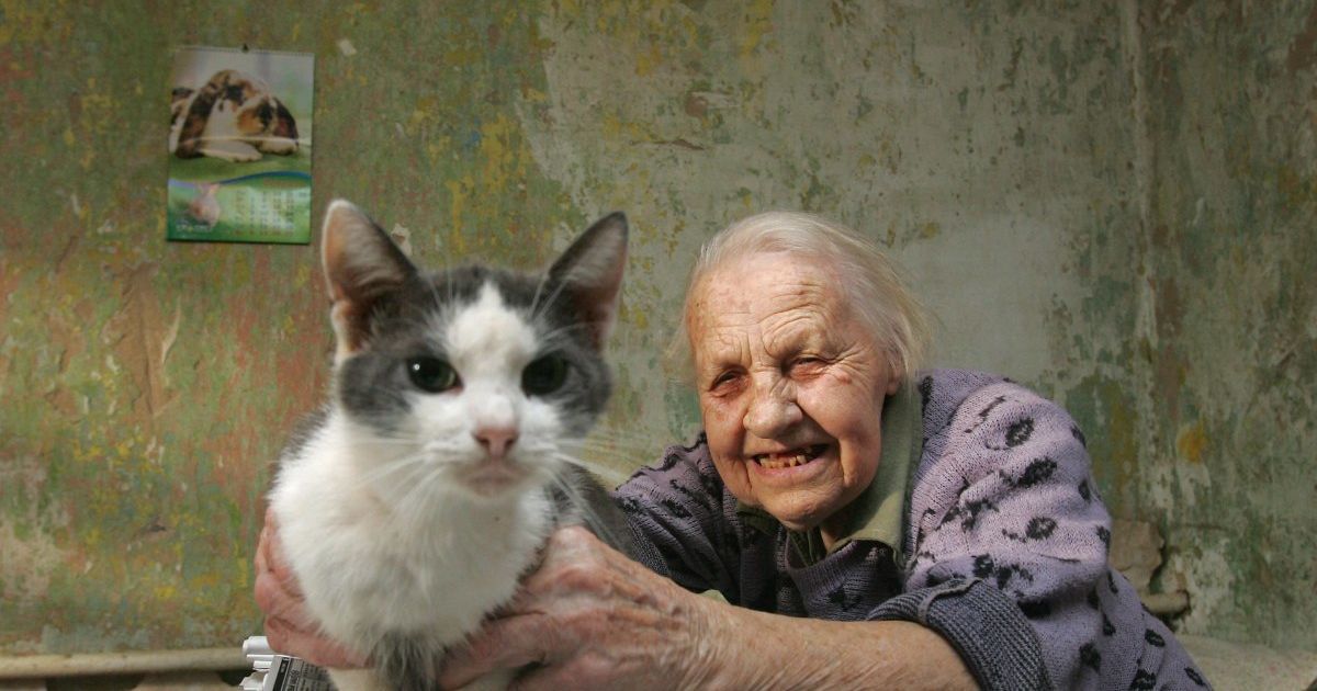 Повышение пенсий: Лазебная рассказала, когда и кому увеличат выплаты