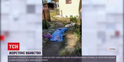 Новини України: на Волині син убив маму після того, як відсидів за вбивство батька
