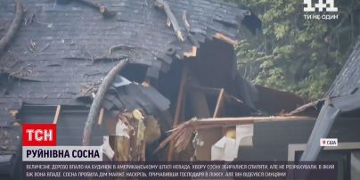 Новости мира: в американском штате сосна упала на дом и практически разрезала его пополам