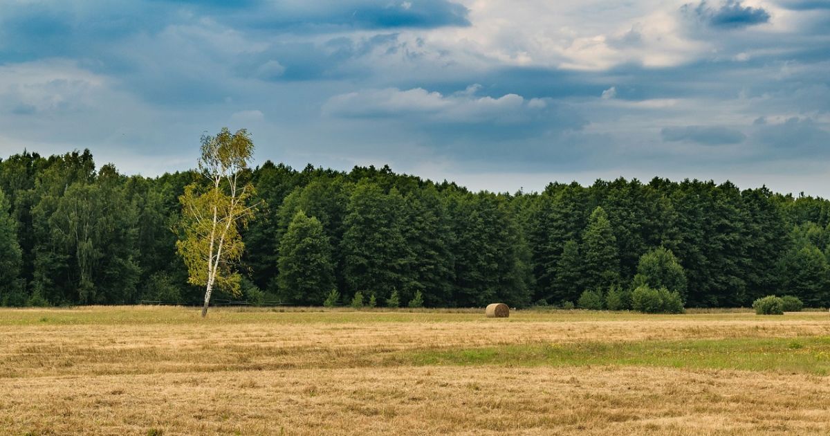 В воскресенье будет тепло и сухо