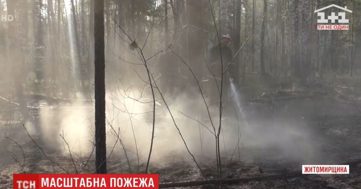 В Житомирской области новый пожар уничтожил 500 гектаров леса