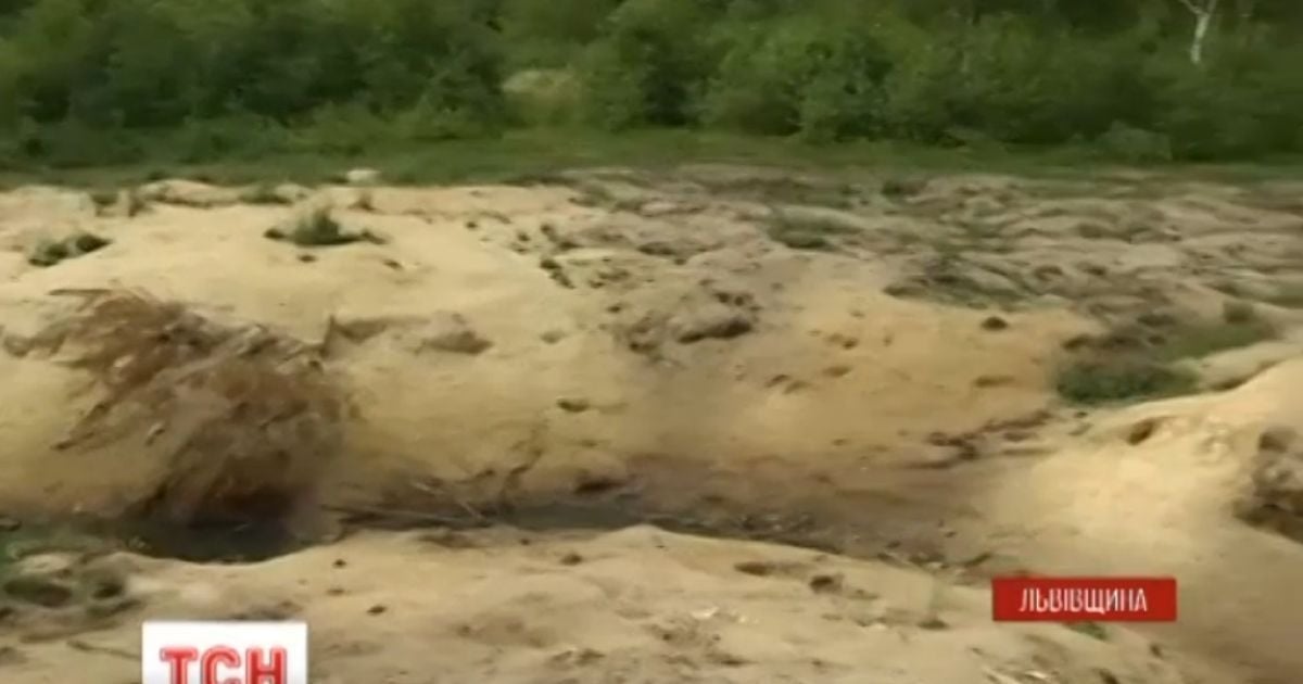 Неймовірний сморід і рештки. На Львівщині зловмисники облаштували масштабний "цвинтар тварин"