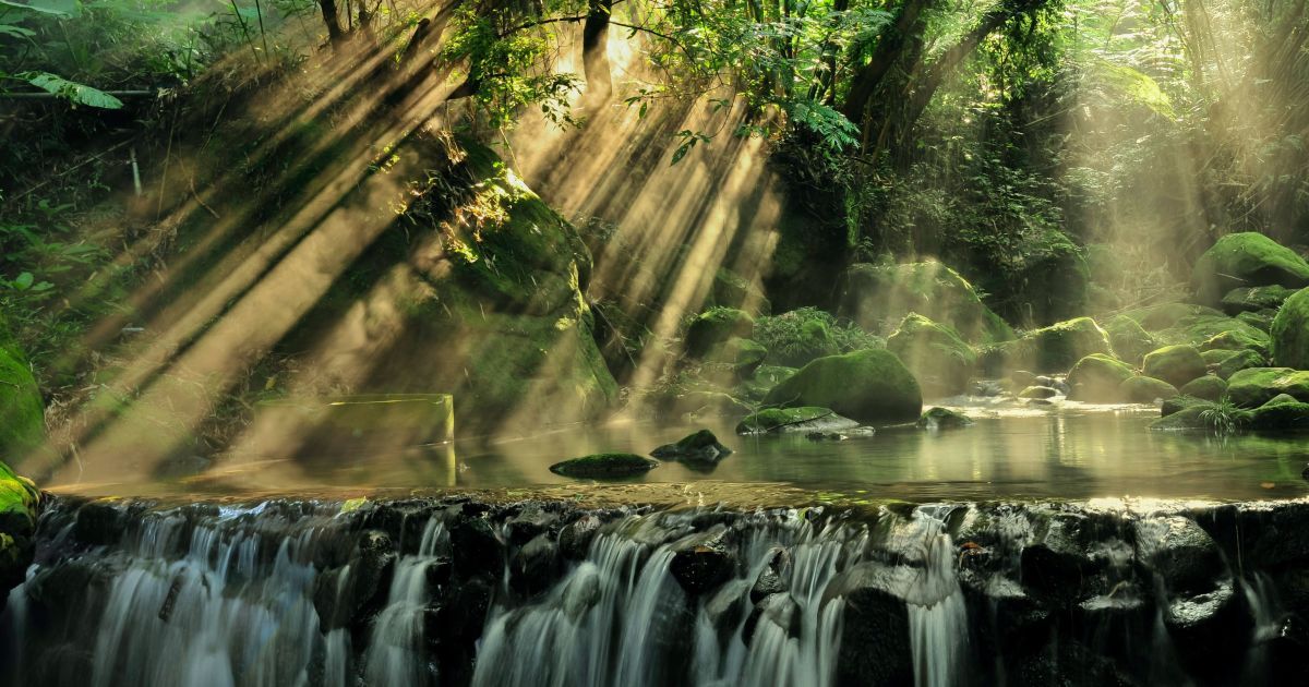 13 липня 2020 року: яке сьогодні свято, прикмети та День ангела