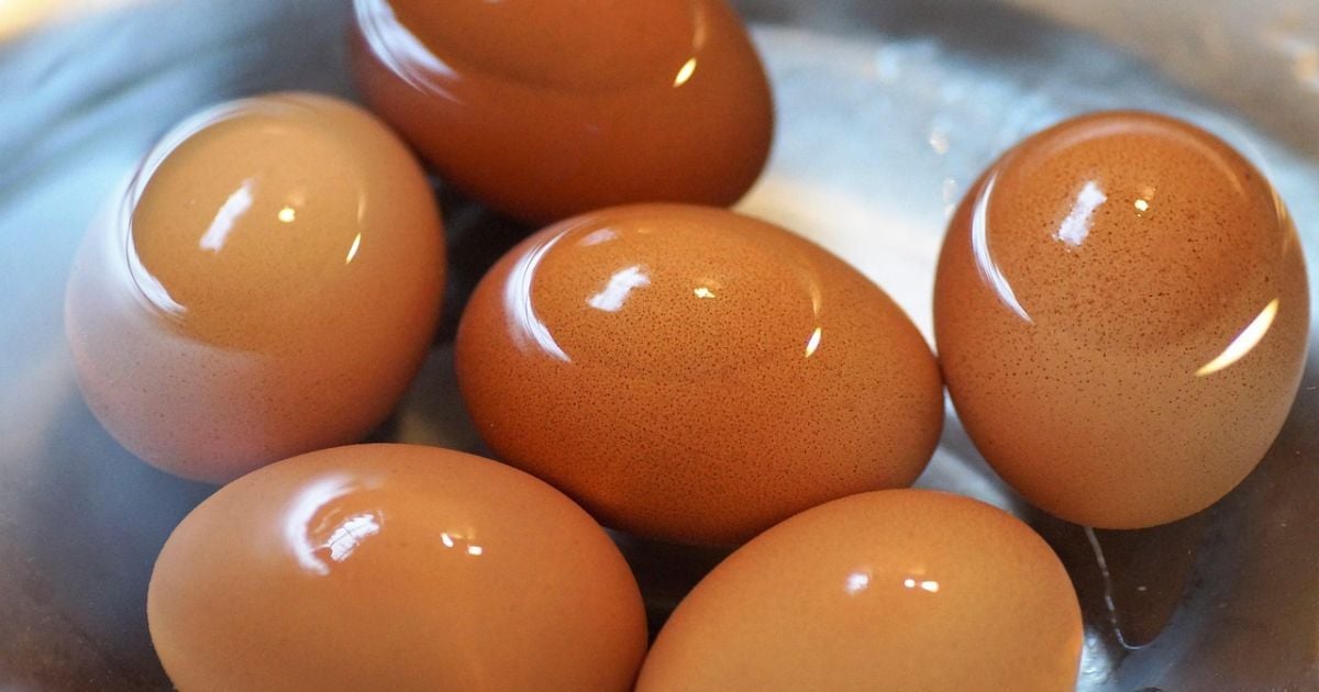 Как правильно варить яйца