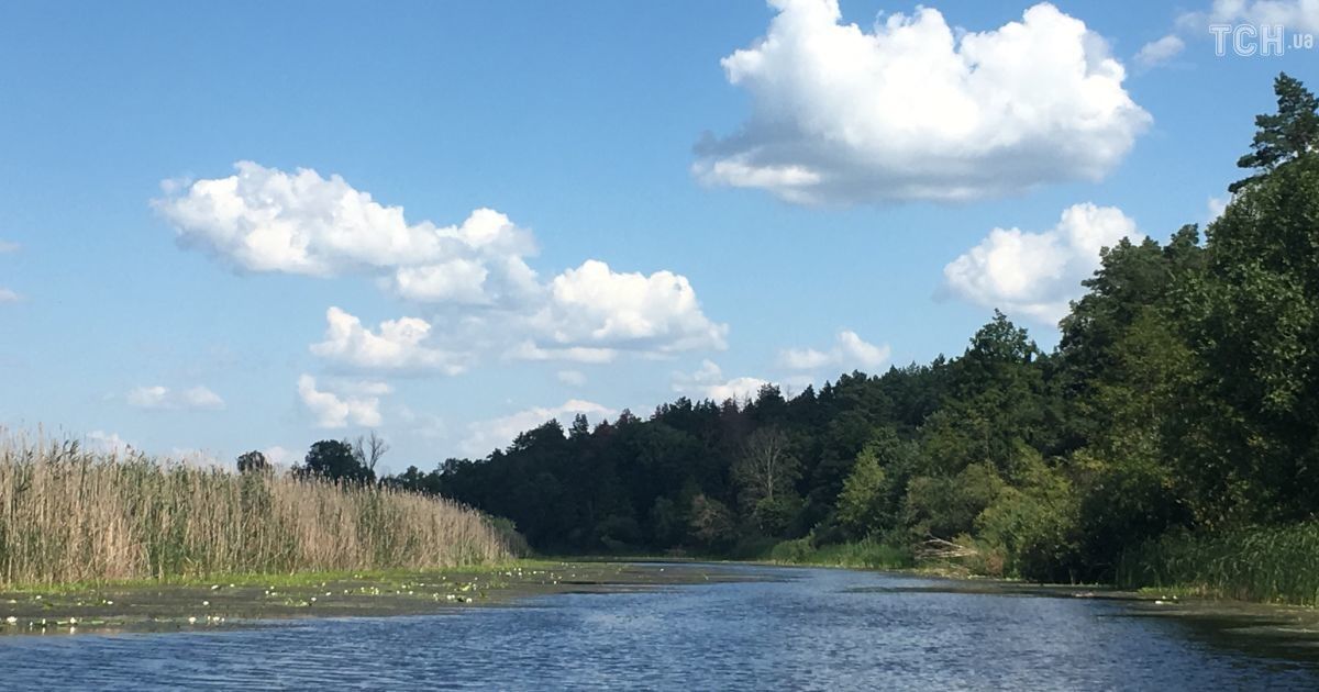 Рятувальники попереджають про підняття рівня води в річках унаслідок сильних злив на Закарпатті