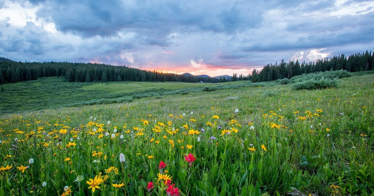 Незначне потепління буде у п'ятницю