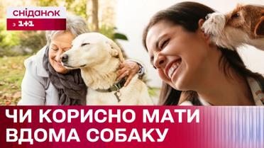 Секрети здоров'я! Як собака покращує ваше самопочуття і настрій?