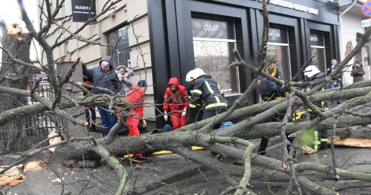 У Кропивницькому через негоду на жінку впало дерево: її доставлено в лікарню