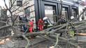 В Кропивницком из-за непогоды на женщину упало дерево: ее доставили в больницу