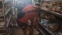 The Russian invaders removed all books from the surviving library In Mariupol