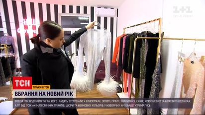 В чем встретить новый год соответствуя символу Водяного Тигра | Новости Украины