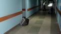 В столичной больнице вор-неудачник пытался вынести из кабинета врача телевизор