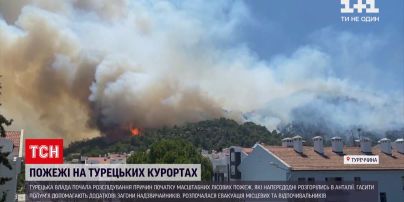 Новости мира: жертвами лесных пожаров в Турции стали по меньшей мере три человека