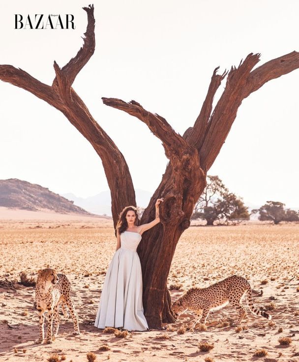 Джолі знялася із гепардами / © harpersbazaar.com