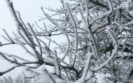 В Украину вторгнется холодный воздух: прогноз погоды на Рождество