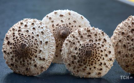 Жареные грибы 