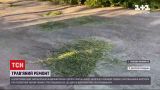 Новости Украины: в Днепропетровской области отремонтировали дорогу скошенной травой
