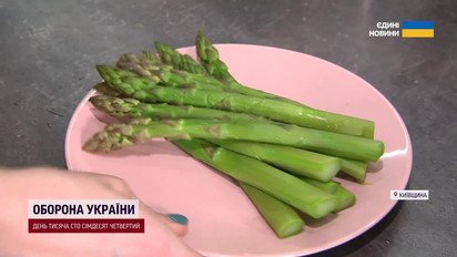 Секреты украинской спаржи! Как легко приготовить чудо-продукт?