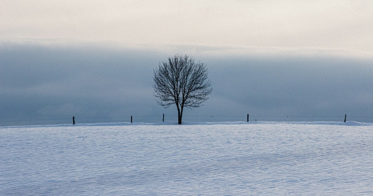Морози не відступають