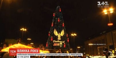 Ялинка року: у Німеччині встановили найбільшу різдвяну ялинку у світі
