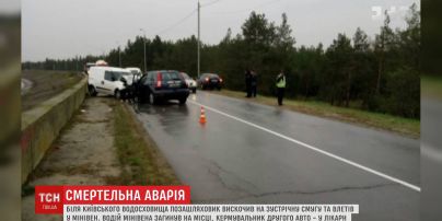 Біля Київського моря сталася смертельна ДТП
