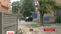 В Кропивницком массово усыхают деревья
