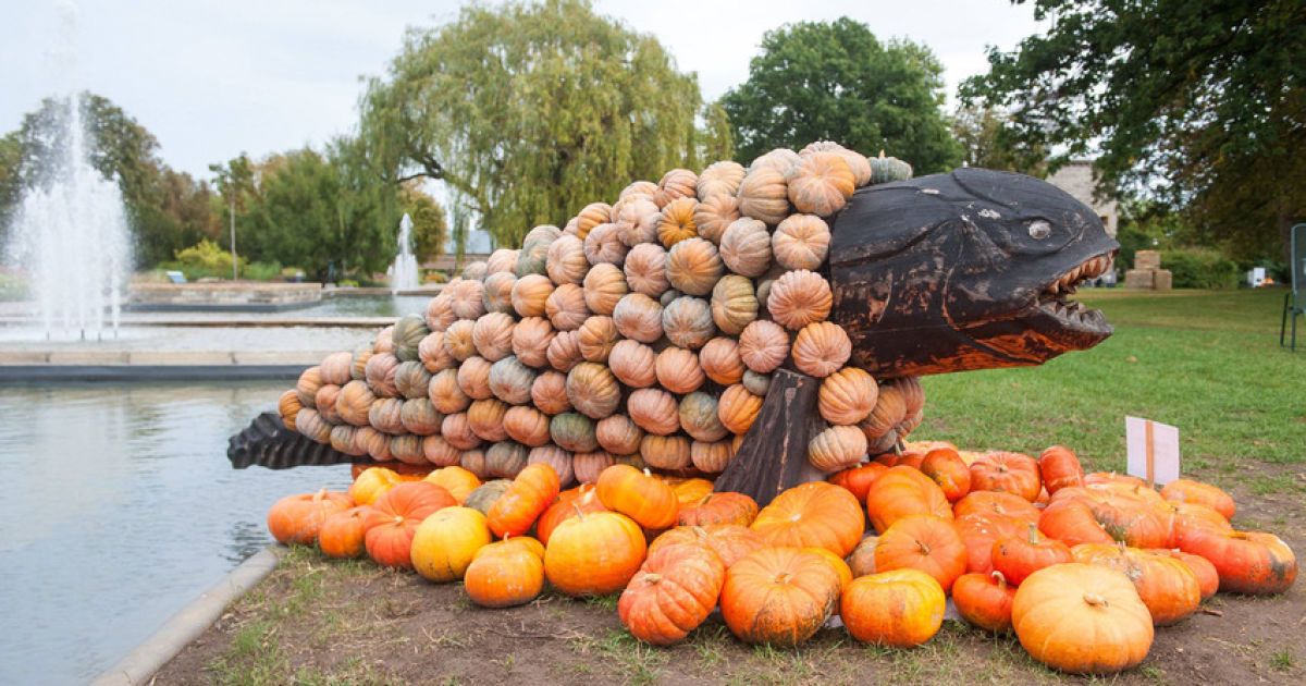 Динозавров украсили тыквами / © zumapress.com