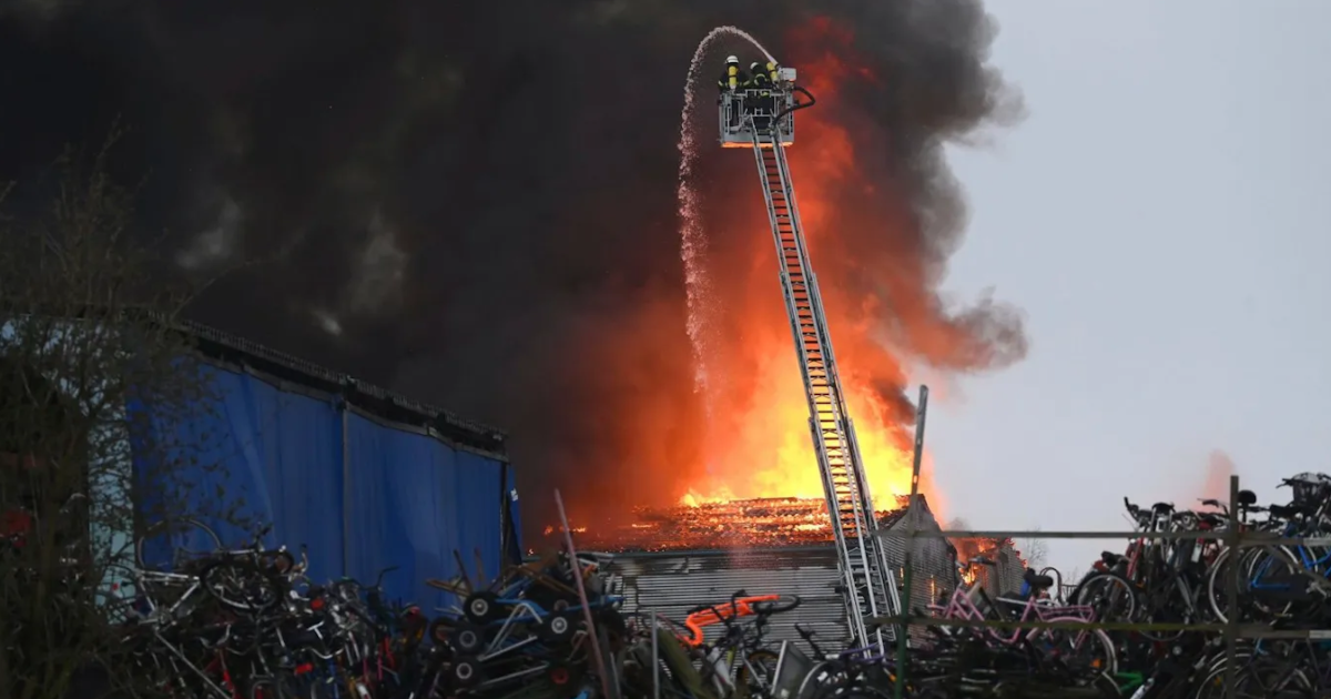 Фото: Jonas Walzberg/dpa