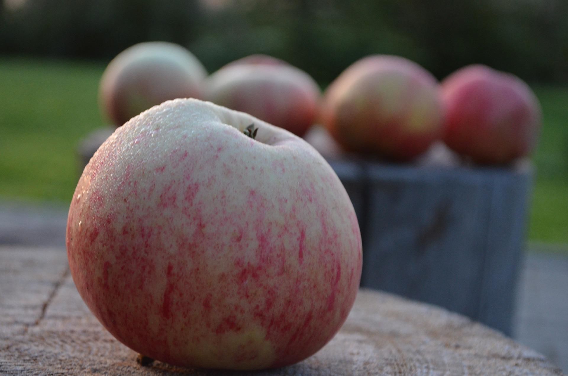 Коли Яблучний Спас 2022? / © pixabay.com