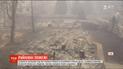 Спасатели продолжают находить тела погибших во время лесных пожаров в Калифорнии