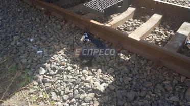 У Києві екстремали спробували випити пиво на даху електрички, є загиблий / © Еспресо TV