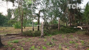 буревій київщина_8 / © Facebook/Віктор Коляда