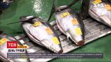 Новости Украины: чем полезен тунец и сколько стоит одна из самых дорогих рыб в мире