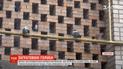 Жителі Бердянська замурували сотні голубів у стіну будинку