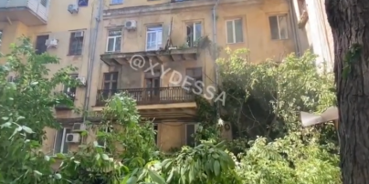 В Одессе дерево упало на дом: мужчина с собакой едва успел отбежать (видео)
