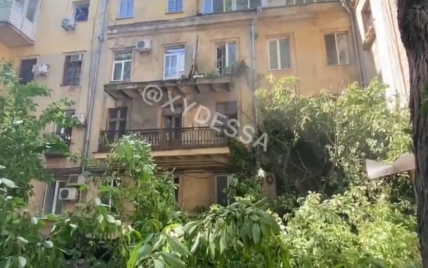 В Одессе дерево упало на дом: мужчина с собакой едва успел отбежать (видео)