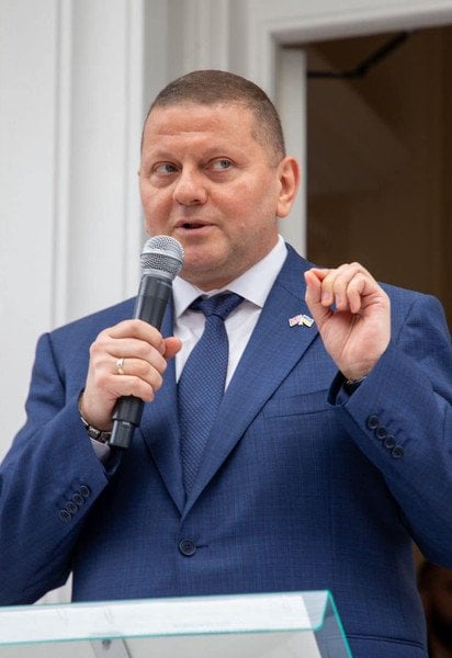 Бывший главнокомандующий ВСУ Валерий Залужный