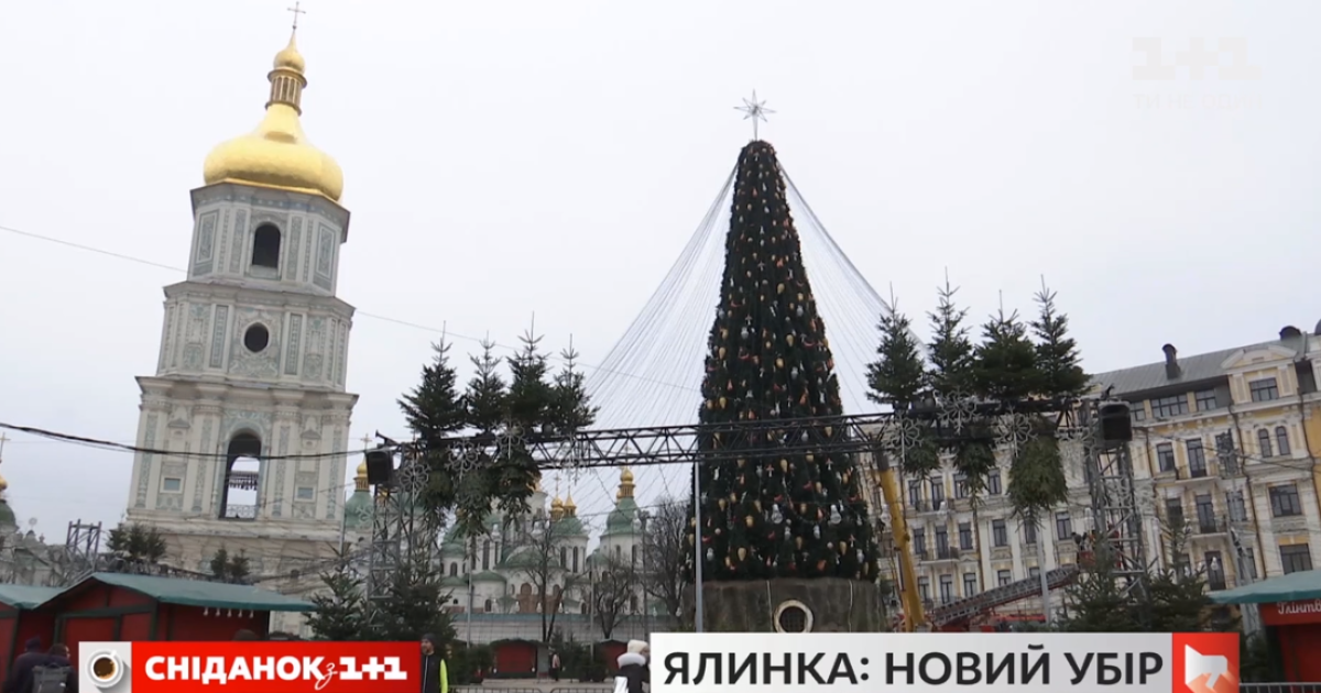 "В этом году ее судьбе не позавидуешь": готова ли елка в Киеве к открытию